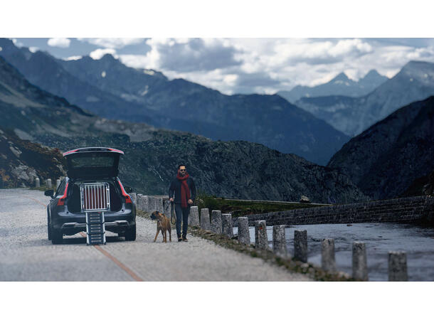 4Pets Easy-steps Pro Rampe for inn og ut av bilen 