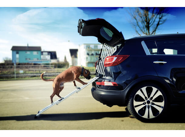 4Pets Easy-steps Pro Rampe for inn og ut av bilen 