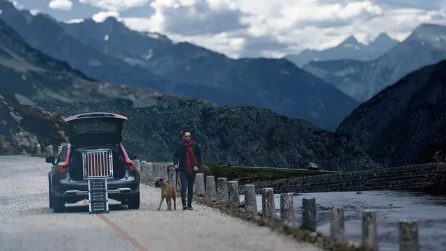 4Pets Easy-steps Pro Rampe for inn og ut av bilen 