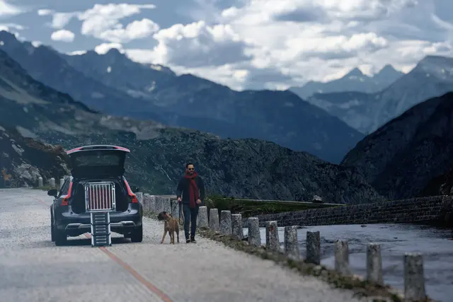 4Pets Easy-steps Pro Rampe for inn og ut av bilen 