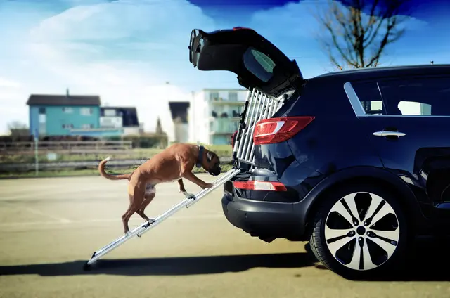 4Pets Easy-steps Pro Rampe for inn og ut av bilen 