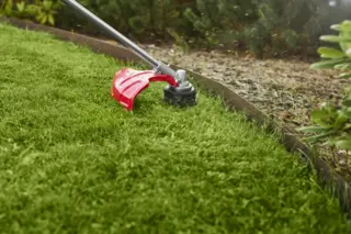 Cramer Optimus TB20H gresstrimmer R&#229;sterk batteridrevet ryddesag og gresst