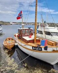 Owatrol Edelolje, 1 L Høyglans treolje for beskyttelse